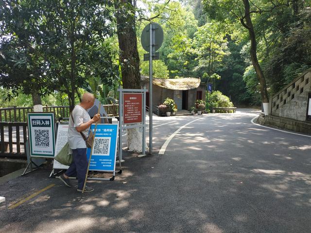 重庆短途摩旅推荐路线，重庆主城摩旅推荐之歌乐山森林公园