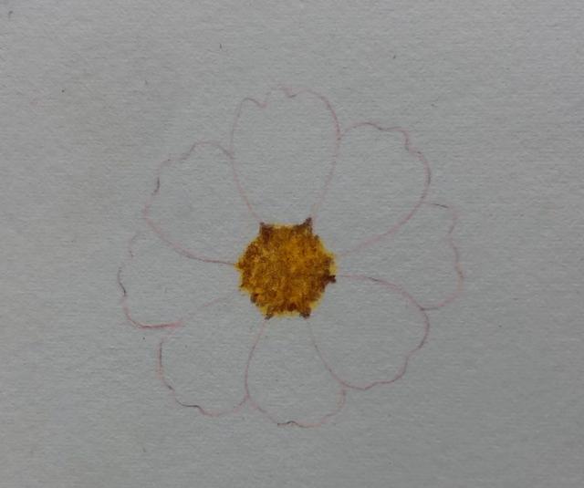 怎么画好看又漂亮的小花，分步骤教你画一朵好看的小花