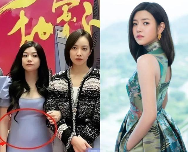 陈妍希个人资料，陈晓陈妍希个人资料介绍（行李箱又脏又旧被赞环保）