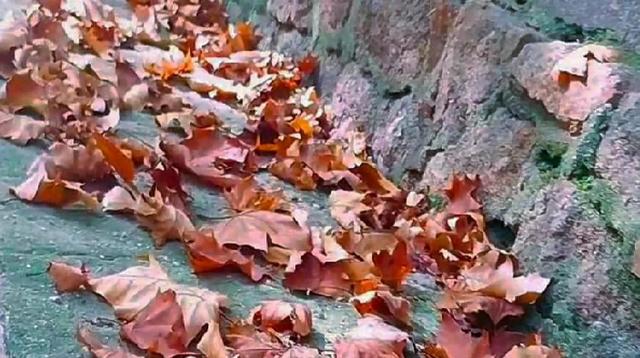 儿童绘画创意启蒙3-6岁，精选儿童创意画28幅