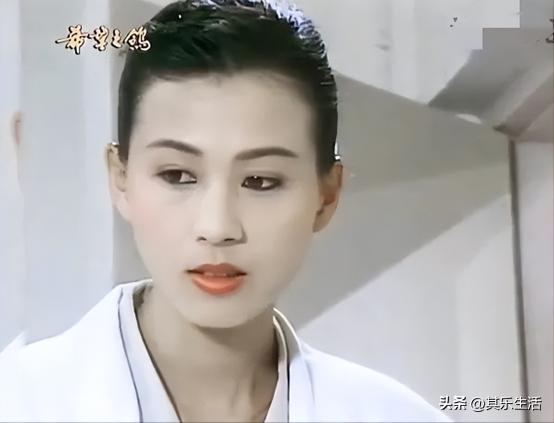 雍正年羹尧武打，雍正小蝶年羹尧播出24年