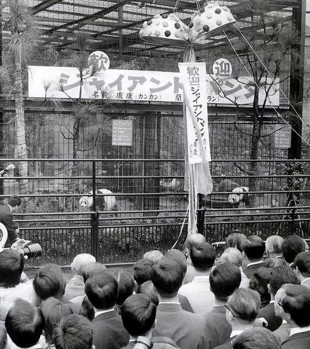 中日邦交正常化，中日邦交正常化50周年在哪里举行（乘风而东相邻为朋）