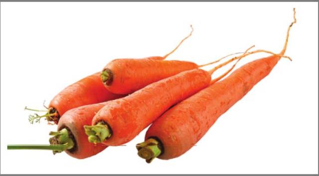 各种类型蔬菜有哪些，蔬菜的分类及品种有哪些