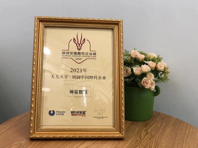 神策分析技巧，神策数据年末再揽