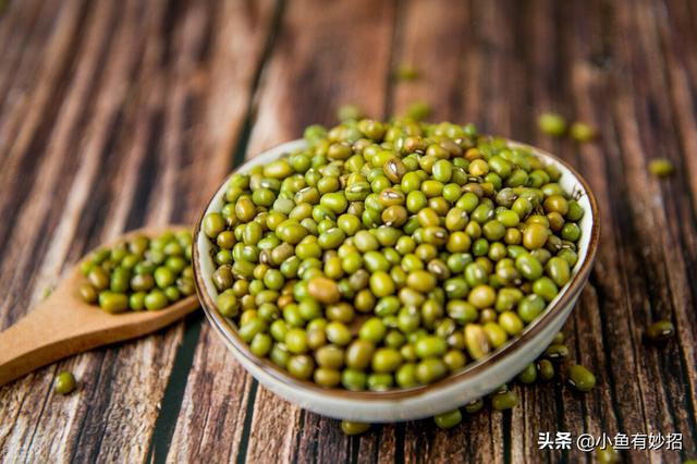 如何快速煮绿豆粥窍门，煮绿豆汤根本不用提起泡