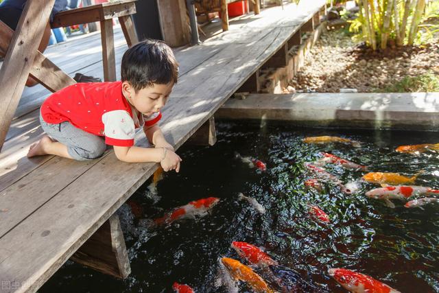 正月二十七人日子，正月二十六宜忌什么