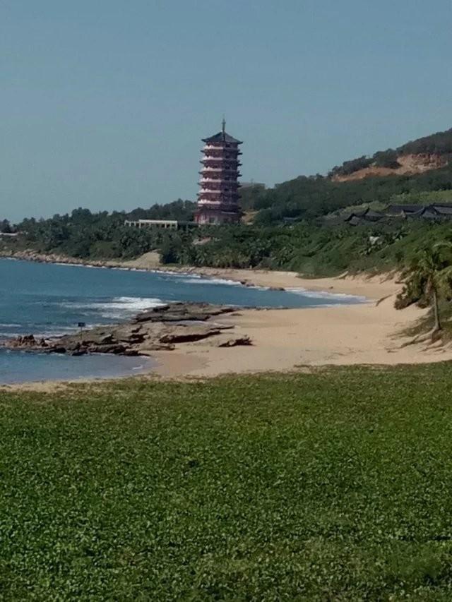 南山佛教文化苑，南山佛文化苑简介