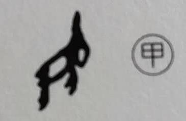 兔字的演变过程图，兔字的来源及演变过程（为什么汉字“兔”这样写）
