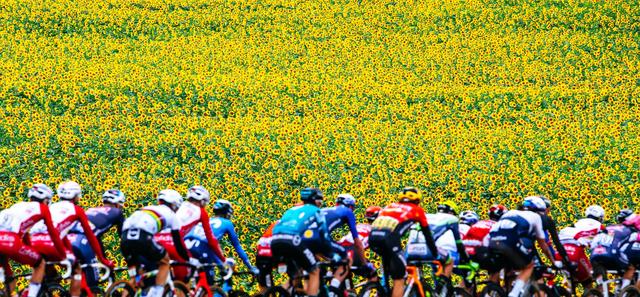 12月节日营销，7月海外营销日历