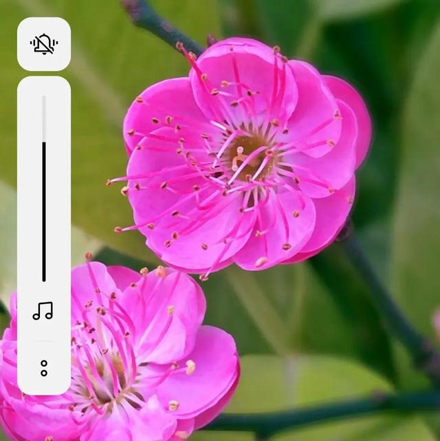 人性的剖析和解读，解读人性感悟人生