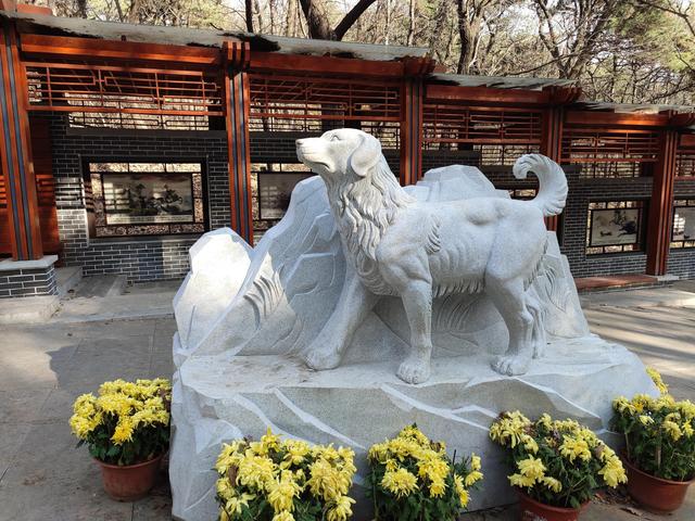 东陵区郊野公园，沈阳东陵郊野公园的美景真好