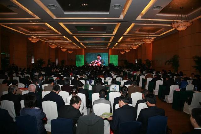 秦商总会成立十周年，秦商总会成立十周年暨全球秦商喜迎党的二十大活动圆满举办
