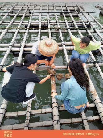 福建珍珠蚝跟鲜活生蚝的区别，舌尖福建漳州