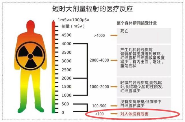 核辐射死亡全纪实，核辐射后果严重