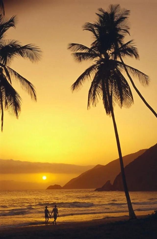 女教师退休年龄，女专业教师退休年龄规定（中小学老师50岁就教不动了）