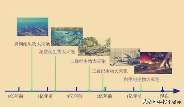 北太平洋巨型章鱼，海底最大生物大章鱼（北太平洋巨型章鱼和鲨鱼）