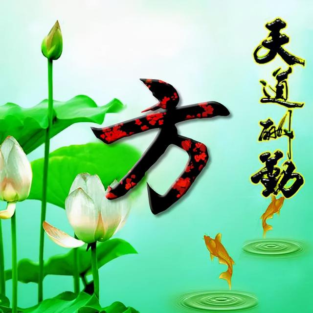 荷花头像图片大全，荷花头像高清图