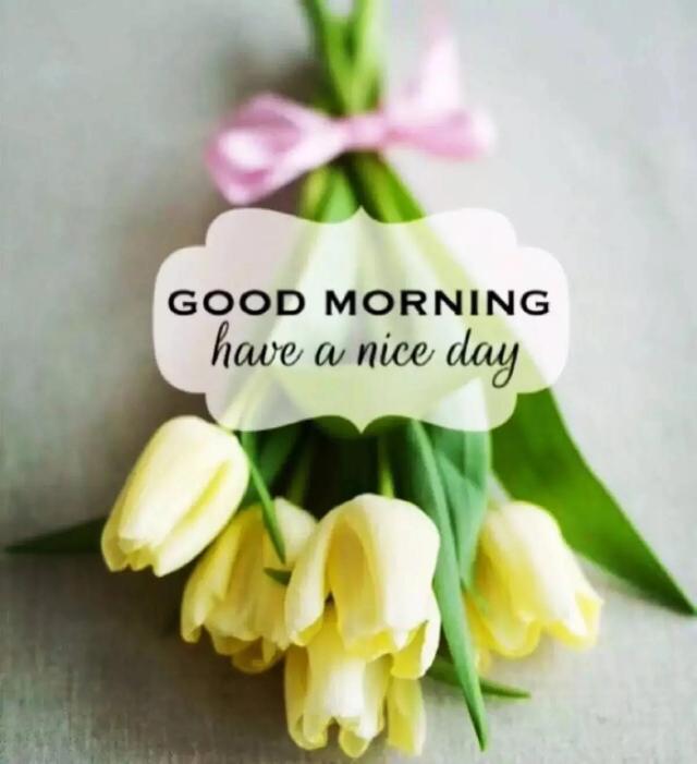 旅行简短文艺句子，关于旅行的文艺语录（旅行出游最文艺的简短说说句子）