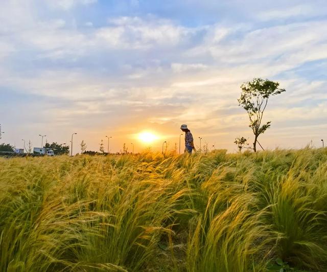 9月成都周边最适合露营，不出成都市区打卡9大露营野餐拍照地