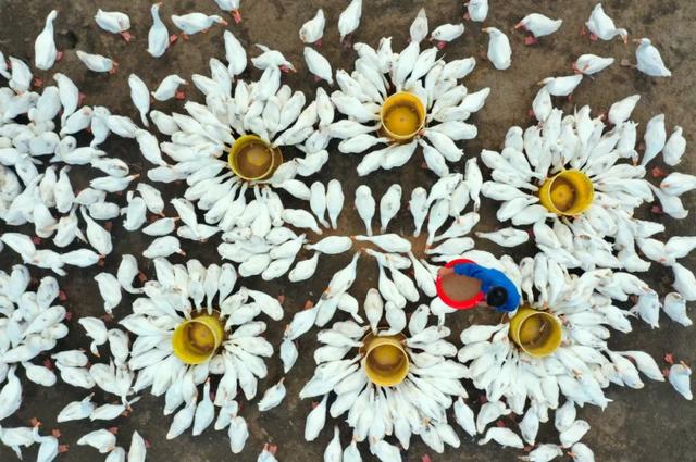 第21届安徽省摄影艺术展入选证书，“安徽·镜像——安徽省摄影作品展”在杭启幕