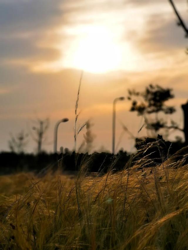 9月成都周边最适合露营，不出成都市区打卡9大露营野餐拍照地