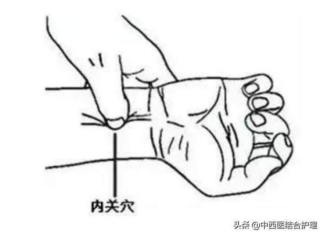 人体经络心包经的位置图，经络养生科普十二经筋