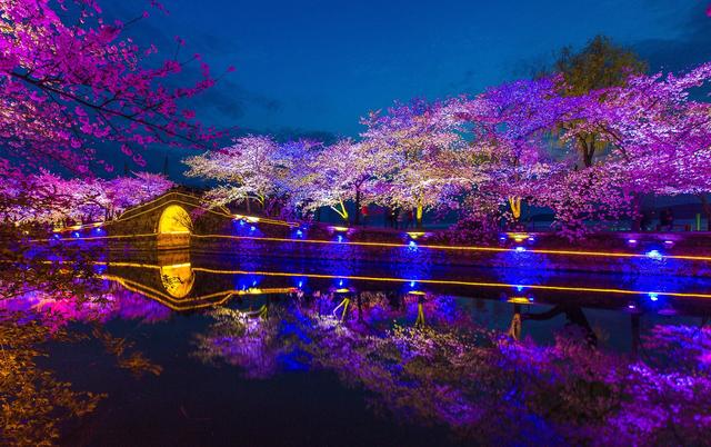 相约无锡太湖鼋头渚樱花季，赴鼋头渚来一场樱花的春日约会