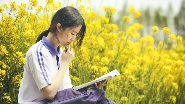 刘亦菲最新电视剧，刘亦菲接演电视剧（刘亦菲新剧即将开机）