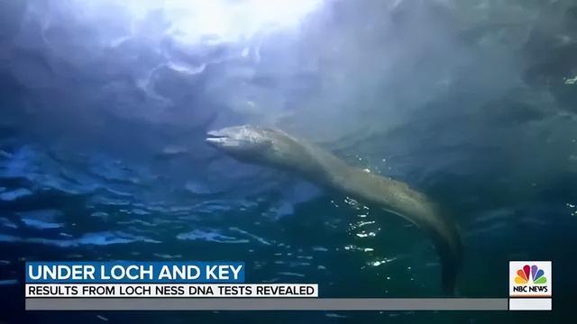 尼斯湖水怪真实事件，为拍尼斯湖水怪
