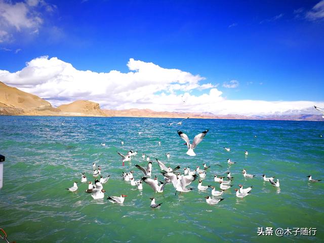 阿里大环线15天自驾游，一路向西直到阿里