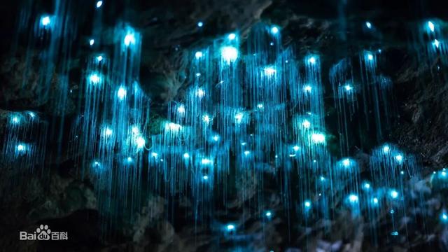 关于海洋的知识，世界上最美丽的十种海洋（这十个奇特的海洋现象）