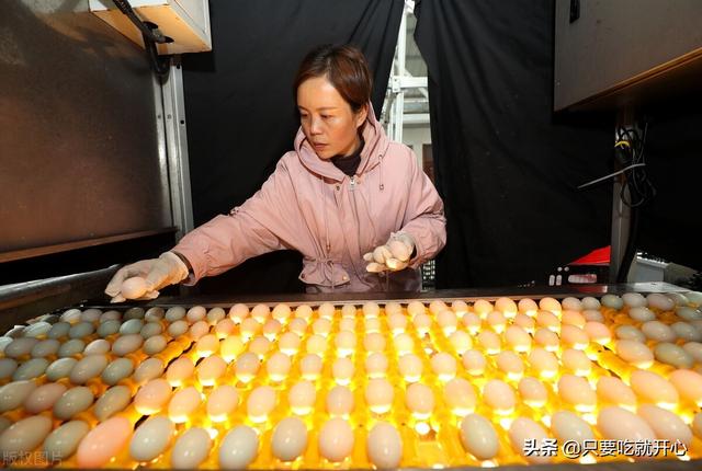 东北人餐桌上的最爱，东北大碴子粥配啥菜