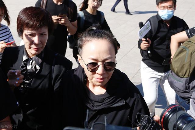 娱乐圈中已离婚的8对明星，盘点娱乐圈离婚次数最多的四大国内女明星