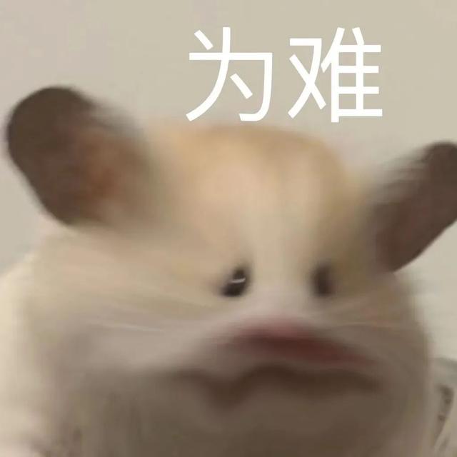 小仓鼠动态迷你表情包，变形脸仓鼠可爱老鼠