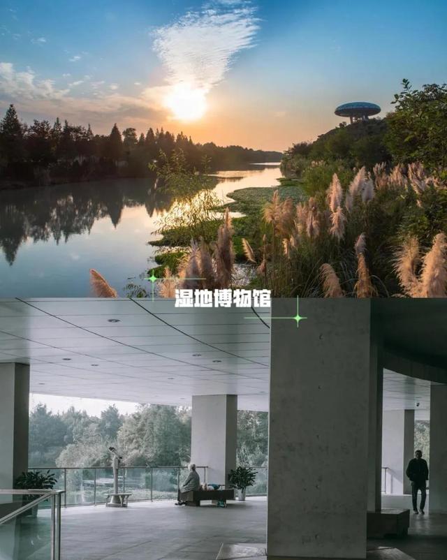破冰之旅杭州西溪湿地，杭州-西溪国家湿地公园之旅