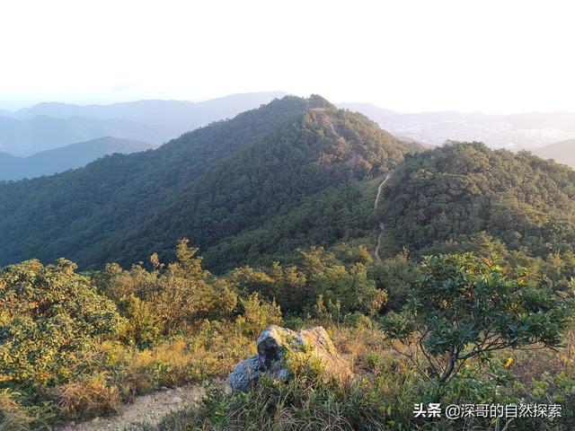 深圳不起眼的山峰，深圳这十座不知名山峰