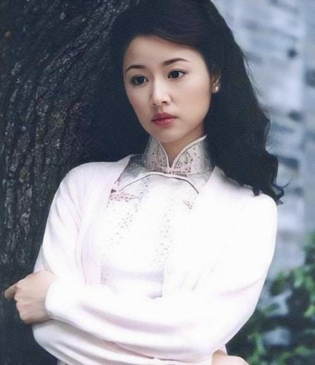 林心如最新消息，林心如最近几天的消息（被“打回原形”的林心如）