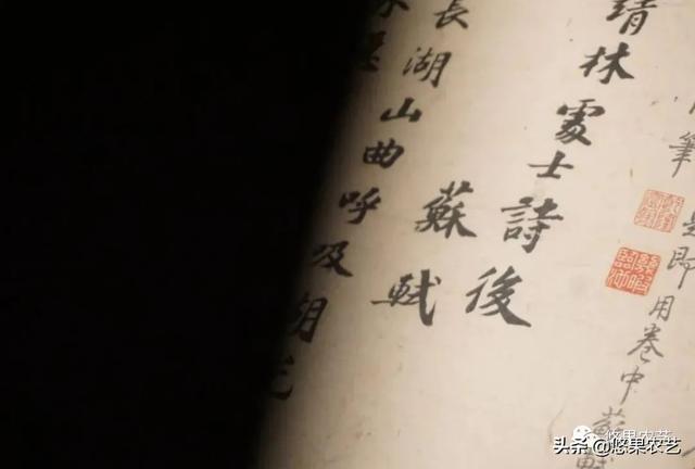 苏东坡传原文及赏析，《苏东坡传》：千磨万击还坚韧