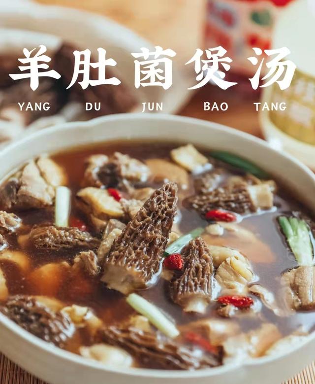 菌菇科普篇菌中之王，各种食用菌菇大全