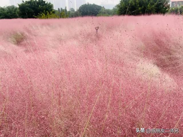 佛山自由行三日游攻略，游玩住宿攻略看这篇就够了