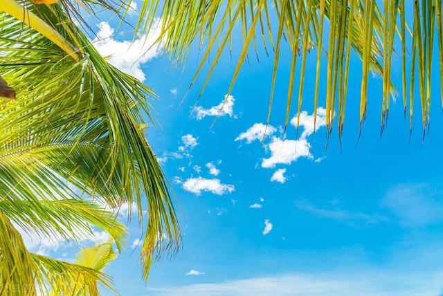 蓝色在五行中代表什么，蓝色代表什么