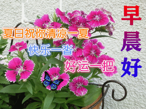 早上好的表情包，2022最火早上好表情包（2022最新早上好表情包）