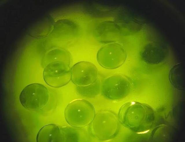 精华液哪个牌子好，精华液哪个牌子效果好5款零差评（5款大牌精华详测）