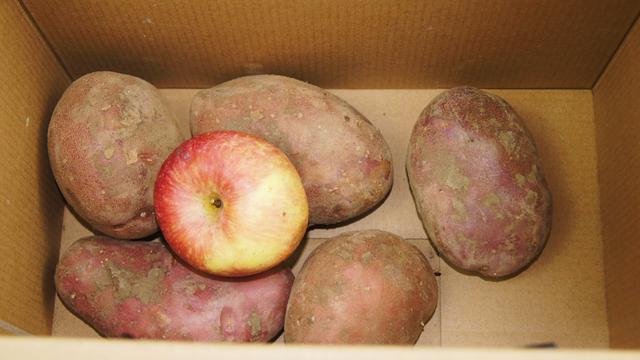 储存土豆最有效的方法，土豆不发芽不变质