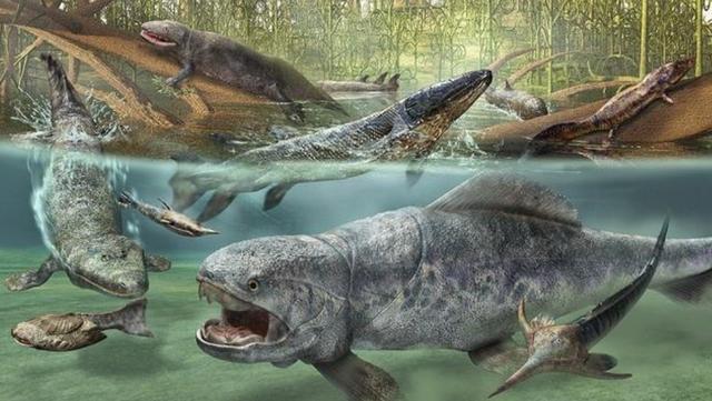 已灭绝的古巨龟，地球生物是不是在