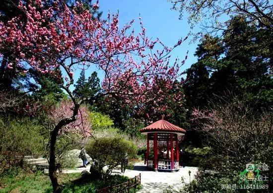 江西庐山旅游一日游，南昌到庐山一日游