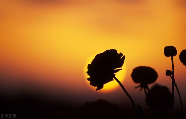 农村最常见虫子的叫声，乡村夜晚农田里