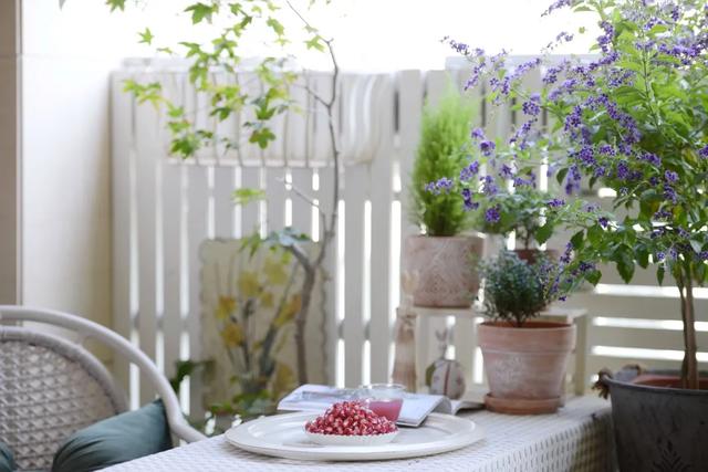 法式花园如何欣赏，海妈花园访问阳台花园满分案例