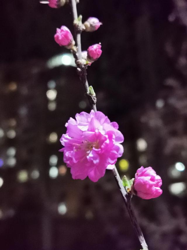 兴国县方言大全，围场方言大全一百三十三