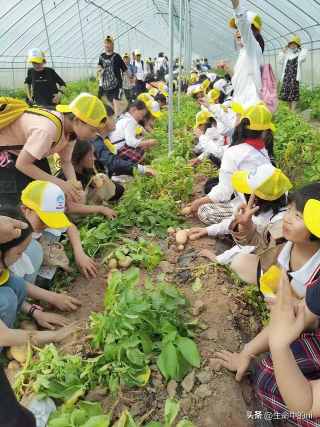 开封必游景区，这八处经典必去的地方